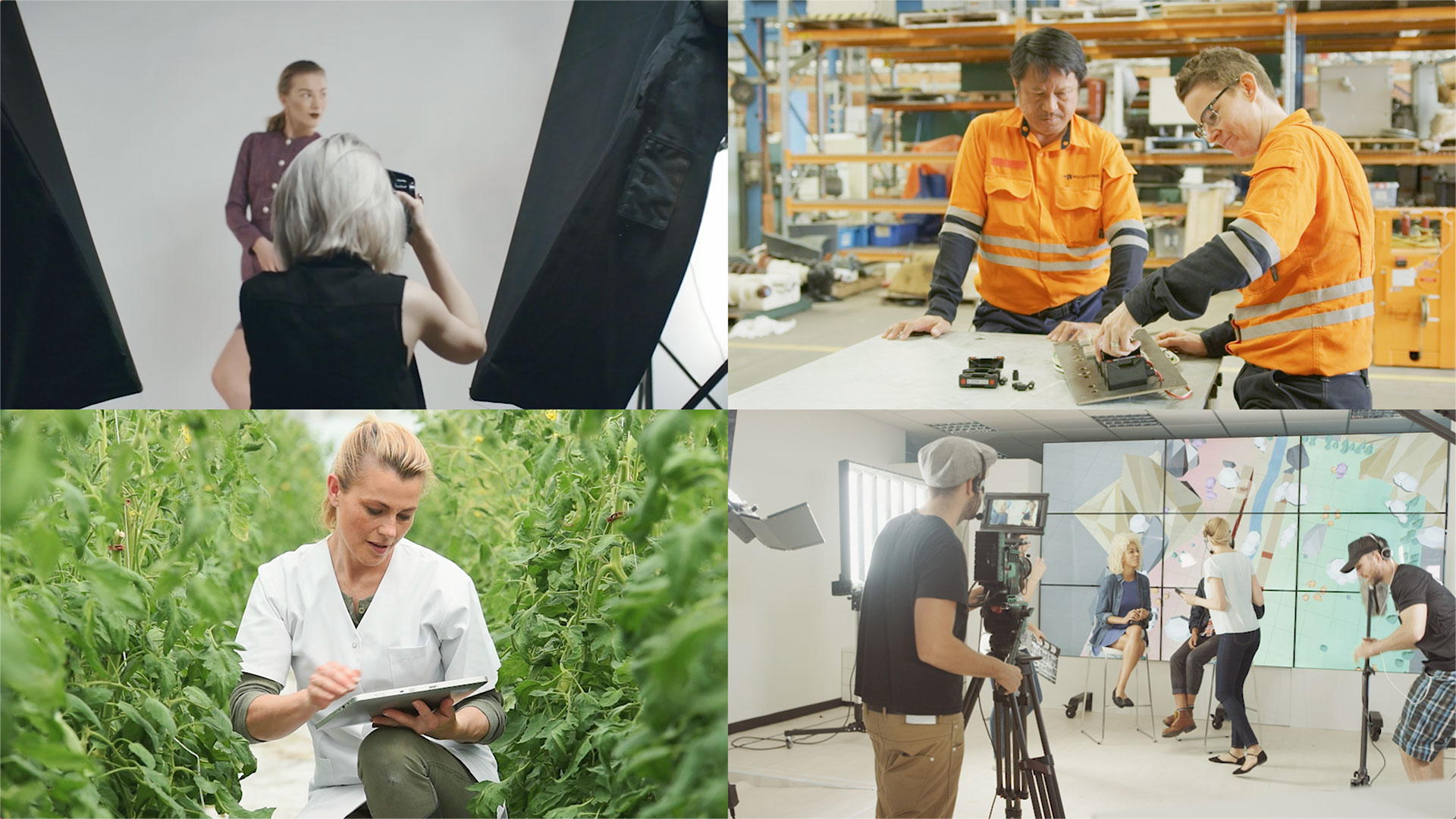 Collage of four images, each showing examples of VET graduates in the field: A photographer, people in the workshop, a woman in a field of crops, and a man working a camera for TV.